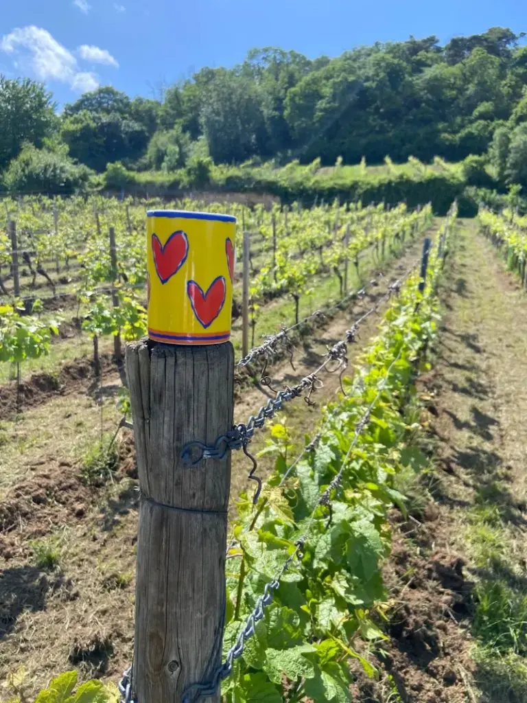 Ingos Kimich - Liebe zum Handwerk Weinbau